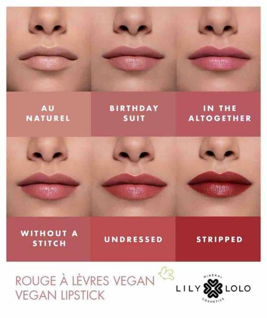 Lily Lolo Rouge à Lèvres Vegan Stripped rouge brique naturel