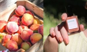 Manucurist vernis Green Peach