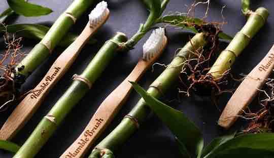 The Humble Co. Bamboo Toothbrush